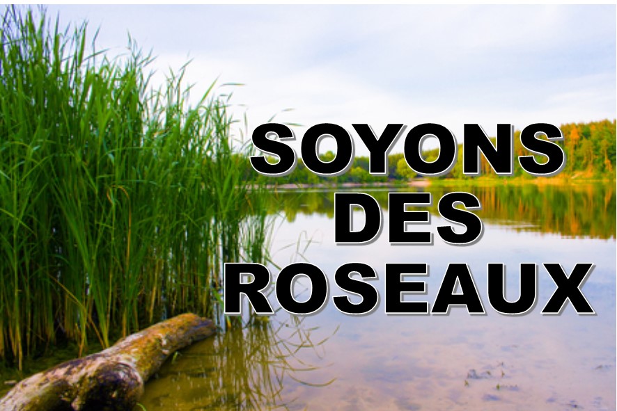 Prédication du 04 Février 2018: SOYONS DES ROSEAUX!