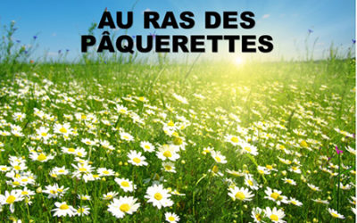 Prédication du 04 août 2019