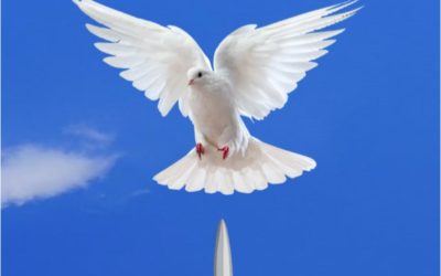 L’AMOUR! UNE LOI HORS NORME ET HORS PARADIGME (Prédication du 23 Février 2020)