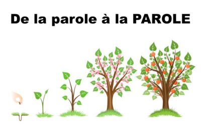 De LA parole à la PAROLE (Prédication du 13 Décembre 2020)